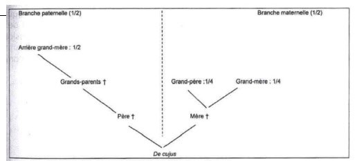 La fente successorale