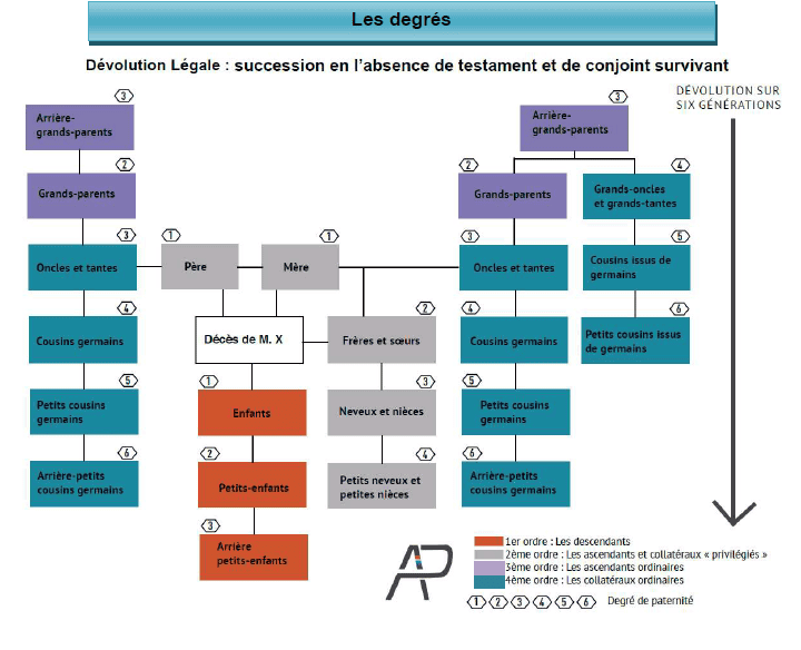 Les degrés de succession